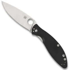 Spyderco Astute Folder Knife, Satin Blade